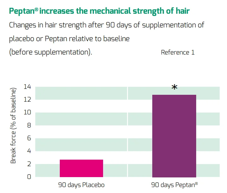Peptan increases the mechanical strength of hair