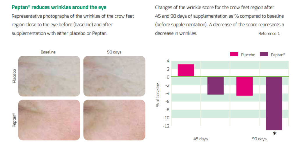 Peptan reduces wrinkles around the eye