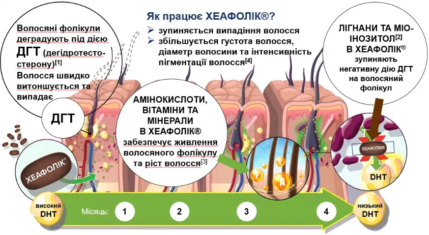 Принцип роботи Хеафоліку